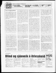 Síða 2