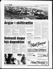 Síða 3