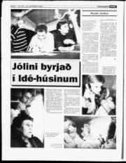 Síða 8