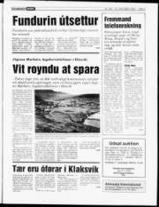 Síða 3