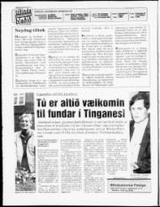 Síða 2