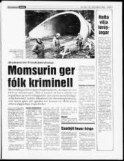 Síða 3