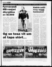 Síða 17