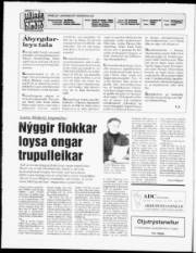 Síða 2