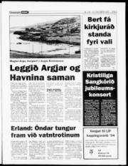 Síða 3