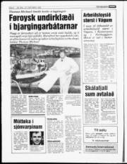 Síða 6