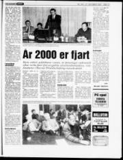Síða 13