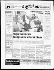 Síða 20