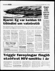 Síða 3