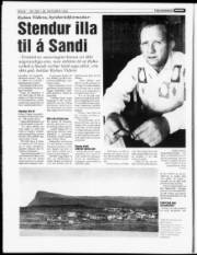 Síða 8