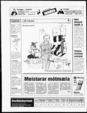 Síða 20