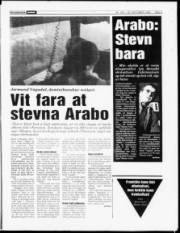 Síða 3