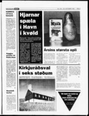 Síða 5