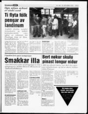 Síða 7
