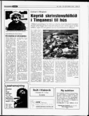 Síða 15