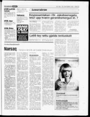 Síða 23