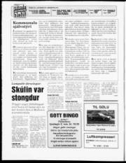 Síða 2