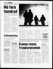 Síða 3