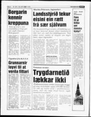 Síða 6