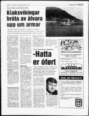 Síða 8