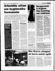 Síða 12