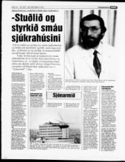 Síða 14