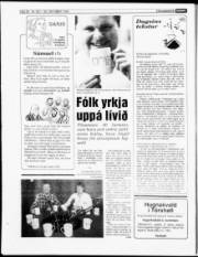 Síða 20