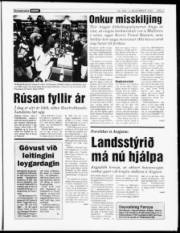Síða 3