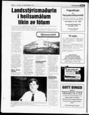 Síða 12