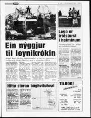 Síða 3