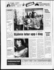 Síða 20