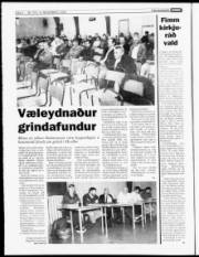 Síða 4