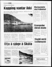 Síða 5