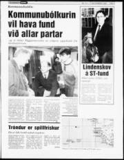 Síða 3