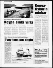 Síða 5