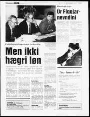 Síða 7