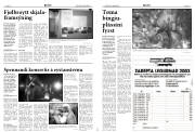 Síða 14