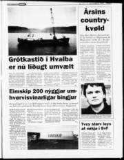 Síða 3