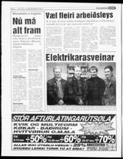 Síða 4