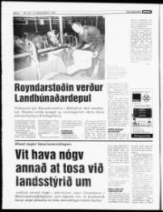 Síða 6