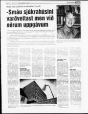 Síða 14