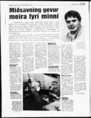 Síða 16