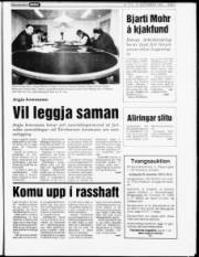Síða 7