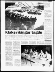 Síða 8