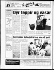 Síða 20