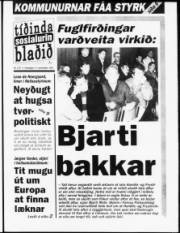 Síða 1