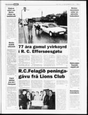 Síða 3