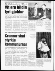 Síða 6