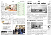 Síða 3