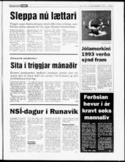 Síða 5